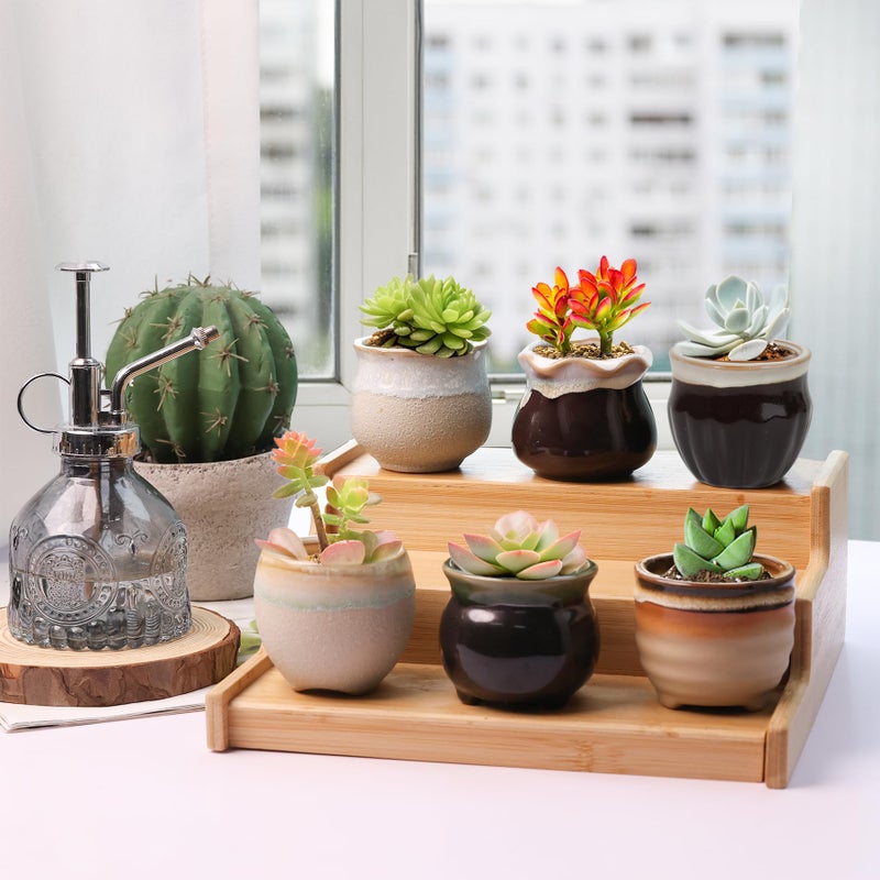T4U Small Ceramic Succulent Pots with Drainage - Set of 12, Mini Pots for Plants, Home and Office Decor, Plant Lover Gifts for Women - Image 5